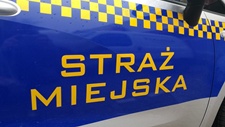 Brawurowa interwencja stray miejskiej